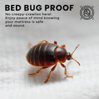 Waterproof Zippered Mattress Protector Queen Size, 12" Deep Pocket