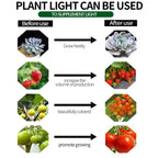 Espird Outdoor LED Grow Lights for Greenhouse 6-Light Waterproof String Grow Light, Full Spectrum LED Plant Grow Light Lamp, Waterproof Greenhouse Grow Lights for Seedling, Veg, Flower