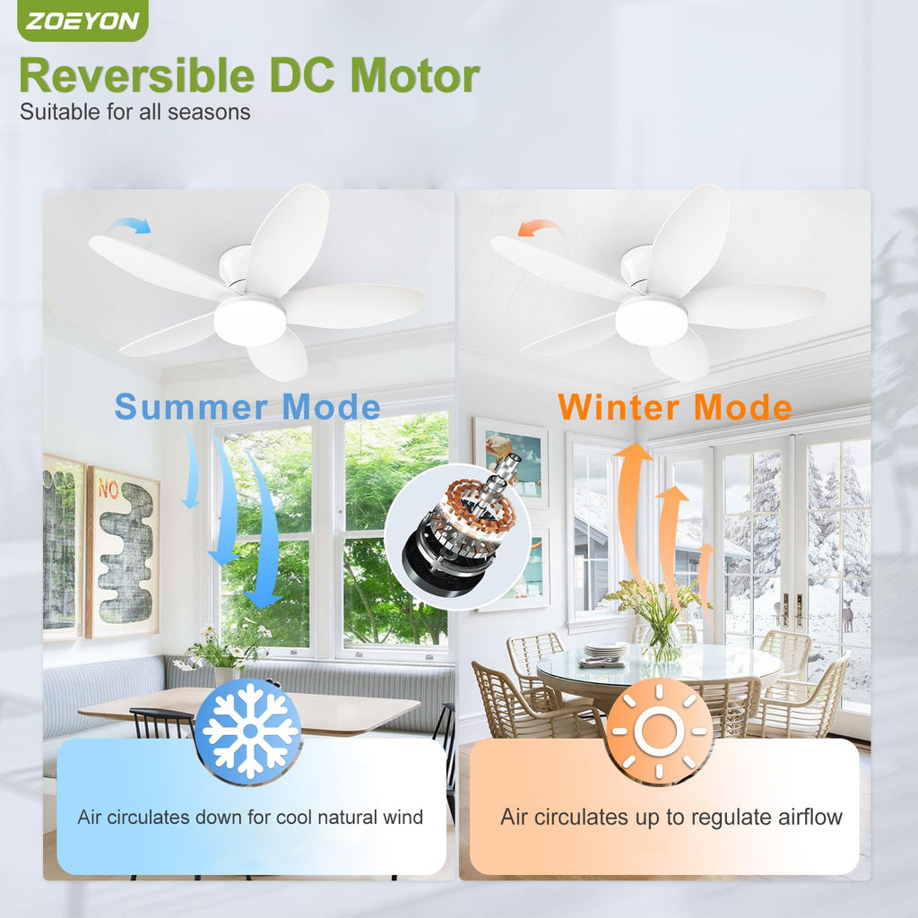 ZOEYON Small Ceiling Fan with Light - 35 Inch Flush Mount Ceiling Fan with Lights and Remote, Low Profile Ceiling Fans with 5 Reversible Blades, 6 Wind Speeds, White Ceiling Fans for Bedroom