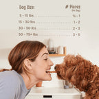 Full Moon® Essential Beef Jerky Tenders Dog Treats 24 oz