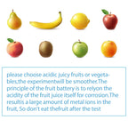 Sntieecr Fruit Battery Science Experiment Kit with Instruction, Potato Science Educational Kit for School Sciences Project, Kids DIY STEM Lab Experiments