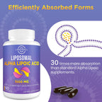 lipmaxmall Liposomal Alpha Lipoic Acid 1500mg - with Acetyl-L-Carnitine 900mg & Ubiquinol 100mg & Vitamin E 15mg，ALA Supplement for Antioxidants Glucose Metabolism Nerve Energy,60 Softgels (2 Bottle)