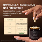 Barrett Recovery NMNH NAD+ Support Supplement – Daily Cellular Energy & Vitality Support, Unflavored Capsules, 60 Count