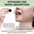 Organic Inflammation Formula Advanced Liquid Drops – Turmeric, Ginger, Boswellia & Black Pepper – Whole-Body Wellness & Inflammatory Support, Joint & Mobility Support – Vegan, Non-GMO – 60 Servings