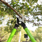 WORKPRO W151010 Limb and Branch Pruner Tool Set, Heat-Treated Steel (1 Set)