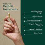 GAIA HERBS PRO GI-BFF Digestive Health Support Supplement - GI Health Supplement with Organic Fennel & Cinnamon Bark - Benegut for Occasional Gas & Bloating* - 60 Capsules (60 Servings)