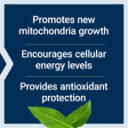 Life Extension PQQ, pyrroloquinoline Quinone, 20 mg, Promotes The Growth of New Mitochondria, Gluten-Free, Non-GMO, Vegetarian, 1 Daily, 30 Capsules