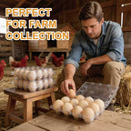 100 Pack 12 Count Plastic Egg Cartons – Bulk Cheap Clear Reusable | Egg Cartons Bulk, Egg Holder for Fridge, Egg Organizer for Refrigerator, Egg Storage for Refrigerator.