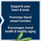 Life Extension Super Omega-3 EPA/DHA Fish Oil, Sesame Lignans & Olive Extract – Heart Health, Brain Health, Inflammation Health Support, Gluten-Free, Enteric-Coated, Non-GMO, 120 Softgels