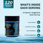 Nova Sea Atlantic Sea Cucumber Supplement, Wild Caught Sea Cucumber Capsules with Fucosylated Vitamins Mineral — Natural Antioxidant Supplement for Elderly Adult Child 120 Count(3 Pack)