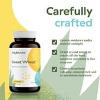 Brightcore Nutrition Sweet Wheat, Ready-to-Drink Athletic Greens, Super Greens with Digestive Enzymes for Digestive Health and Immune Boost, 180 Wheatgrass Juice Powder Capsules