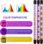 LED Grow Lights for Indoor Plants 2-Pack, Full Spectrum & Red Blue Spectrum Plant Growing Lamps with 3/9/12H Timer, 10 Brightness Levels, Clip-on Desk Plant Lights for Seedlings, Succulents, Flowers