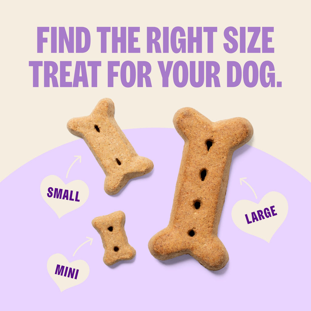 Wellness Old Mother Hubbard Classic P-Nuttier Dog Biscuits, Natural Training Treats, Peanut Butter Flavor, Mini Size, 6 lb Box