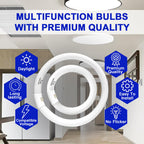 Celiwace FC8T9/CW 22W and FC12T9/CW 32W Cool White Set, 8 inch T9 22 Watts Circular Light Bulbs, 12 inch 32 Watts Circline Fluorescent Bulb Round Ring Bulb CRI 80, G10q Prong