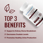 Approved Science Stonexyl - Herbal Support for Kidney Stones - 180 Capsules - Chanca Piedra - High Absorption - 3 Month Supply - Vegan