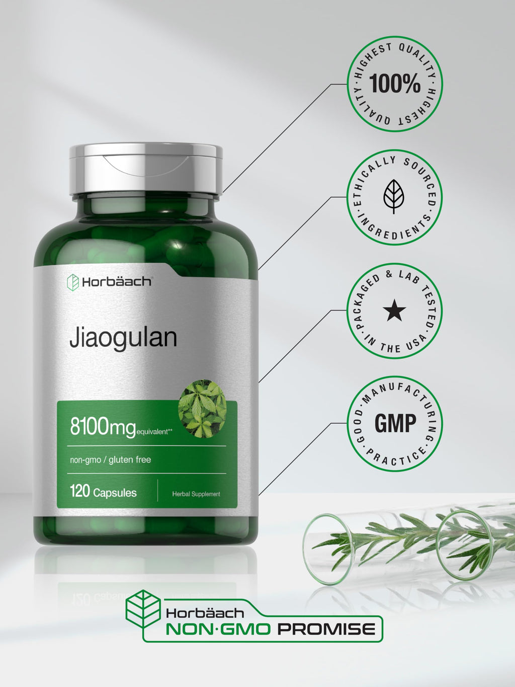Horbäach Jiaogulan Capsules | 120 Count