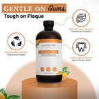 Living Well with Dr. Michelle Fresh Citrus Remineralizing Mouthwash | Hydroxyapatite & Colloidal Silver Formula | Alcohol-Free, Natural & Organic | Fluoride-Free Mouth Rinse