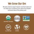 OM MUSHROOM SUPERFOOD Coffee Latte Blend – Functional Mushroom Powder with Lion’s Mane, Cordyceps, Reishi & Chaga – Energy, Focus & Mental Clarity Support – 8.47 oz Canister (30 Servings)