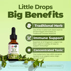 MaryRuth Organics Oregano Oil Drops | 6 Month Supply | USDA Organic Oil of Oregano Liquid | Herbal Blend for Immune Support | Digestive Health | Overall Health | Vegan | Sugar Free | Non-GMO | 1 Fl Oz