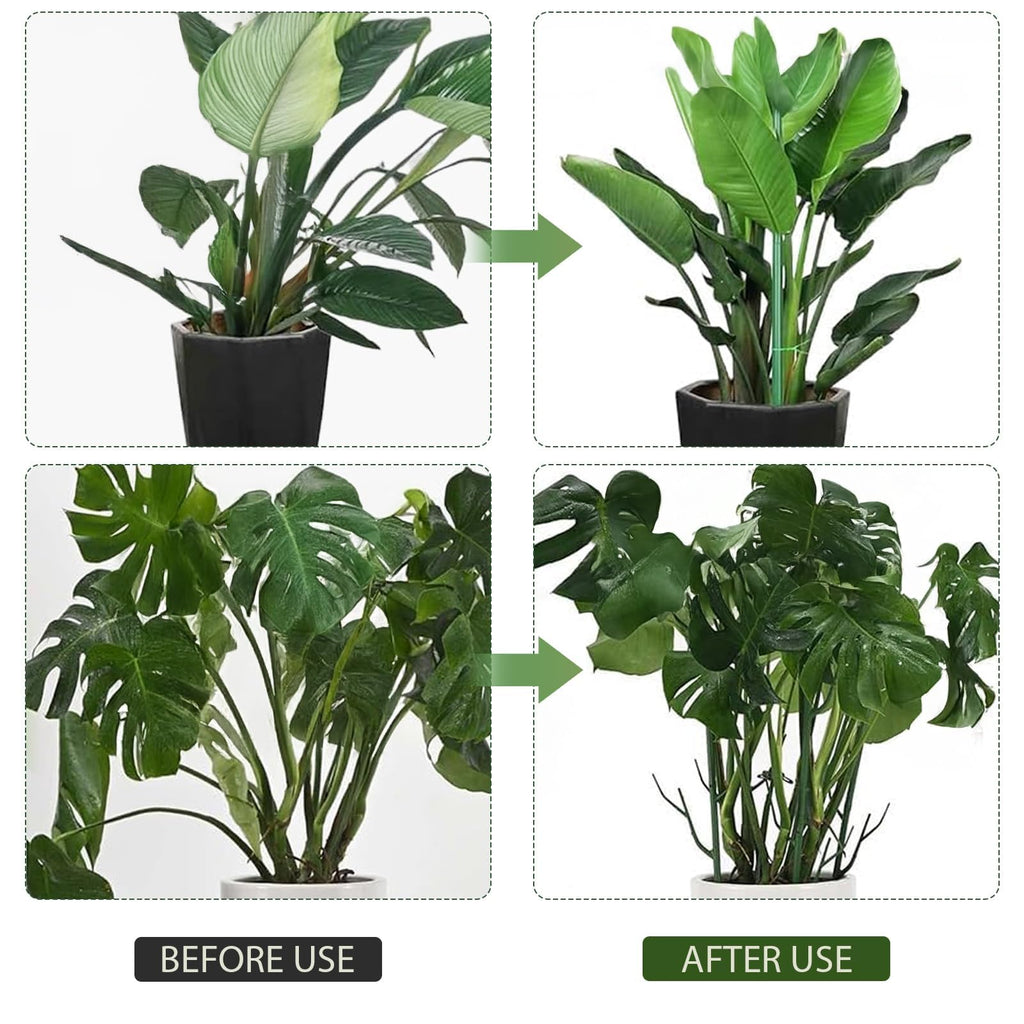Upgrade Stackable Monstera Plant Support,2026 New Durable Garden Plant Support Stakes for Indoor Outdoor Potted Plants,Garden Accessories Plant Sticks for Vine Training Stem Stabilization (5, Green)