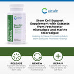 Cerule StemEnhance Ultra 2 Pack –Natural Stem Cell Support Supplement for Cellular Renewal, Immune Function, Energy, and Recovery–Freshwater Microalgae & Marine Macroalgae Extracts– 120 Capsules Total