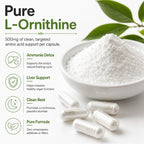 Dr Clark Ornithine Dietary Supplement 500mg, 100 Gelatin Capsules, Pure Amino Acid Support for Natural Sleep Aid, Promotes Protein Metabolism, Cleansing and Detoxification, Non-GMO & Gluten Free