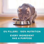 Purina ONE Grain Free Wet Cat Food Variety Pack, 24 Pack 3 oz Cans
