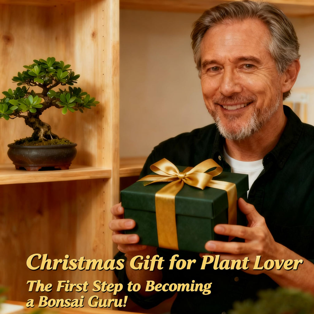 Bonsai Tree Starter Kit for Beginners - Indoor Live Plant Gardening Adult Craft DIY Kits - Unique Christmas, Birthday, White Elephant Gifts for Women, Men, Boys & Girls