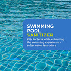 FROG Replacement Chlorine Cartridge for use with Flippin’ FROG XL Floating Sanitizer System - Prefilled Cartridges Support Easy Pool Maintenance and Cleaner & Clearer Water - 2 Pack