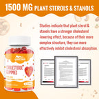 ChiQwench Cholesterol Supplements with 1500 Mg Plant Sterols & Stanols, Cholesterol Support Gummies, Cholesterol Complex Gummies, Maintains Normal Levels, Mixed Berry Flavor, 120 Count