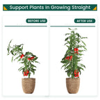 PROWORX 48 Inch 4 Ft Plant Support Garden Stakes 25 PCS, Sturdy Steel Plastic Coated Sticks for Outdoor Growing Climbing, Tomato, Trees, Cucumber, Beans