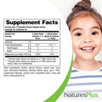 NaturesPlus Animal Parade MagKidz, Natural Cherry Flavor - 90 Animal-Shaped, Chewable Tablets - Pack of 3 - Bone & Muscle Health Support - Non-GMO, Vegan, Gluten Free, Sugar Free - 135 Total Servings