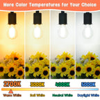 MAXvolador 60W Equivalent E26 LED Filament Light Bulbs, 850LM Warm White 2700K Efficient 6W A19 Edison Bulb, Non-Dimmable Medium Base, 4-Pack