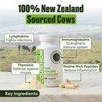 Intestinal Fortitude 100% Grass Fed New Zealand Cows Colostrum Capsules, Grassfed, Hormone Free, GMO Free, Optimal Gut Health and Immune System Support, Leaky Gut, IBD, 500 mg Capsules, 60 CT
