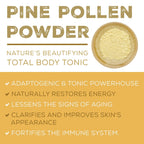 Surthrival: Pine Pollen Powder (8 oz), Wild Harvested, Energy & Endurance Restoration