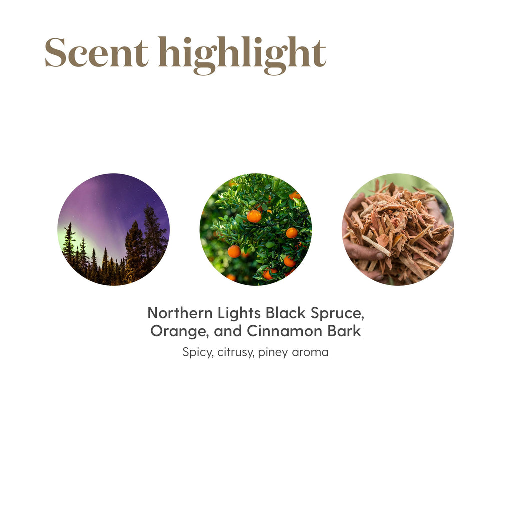 Young Living - Christmas Spirit | Festive Essential Oil Blend for Diffusers | Aromatherapy for Holiday Cheer, Winter Memories, & Natural Air Freshening | 5 ml