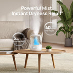DREO 3L Humidifiers for Bedroom, 30H Runtime, 26 dB Quiet, New Edition
