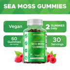 Vitamatic Irish Sea Moss Gummies with Bladderwrack & Burdock Root – Botanical Extract Supplement – Vegan, Non-GMO – 60 Count - 3 Pack
