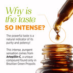 AFC Japan Brazilian Green Propolis Extract | Highest Artepilin C & Flavonoids for Antioxidant & Immune Support Pure Concentrated Liquid Extract Bee Propolis Tincture from Brazil (30ml/ 1Fl.Oz)