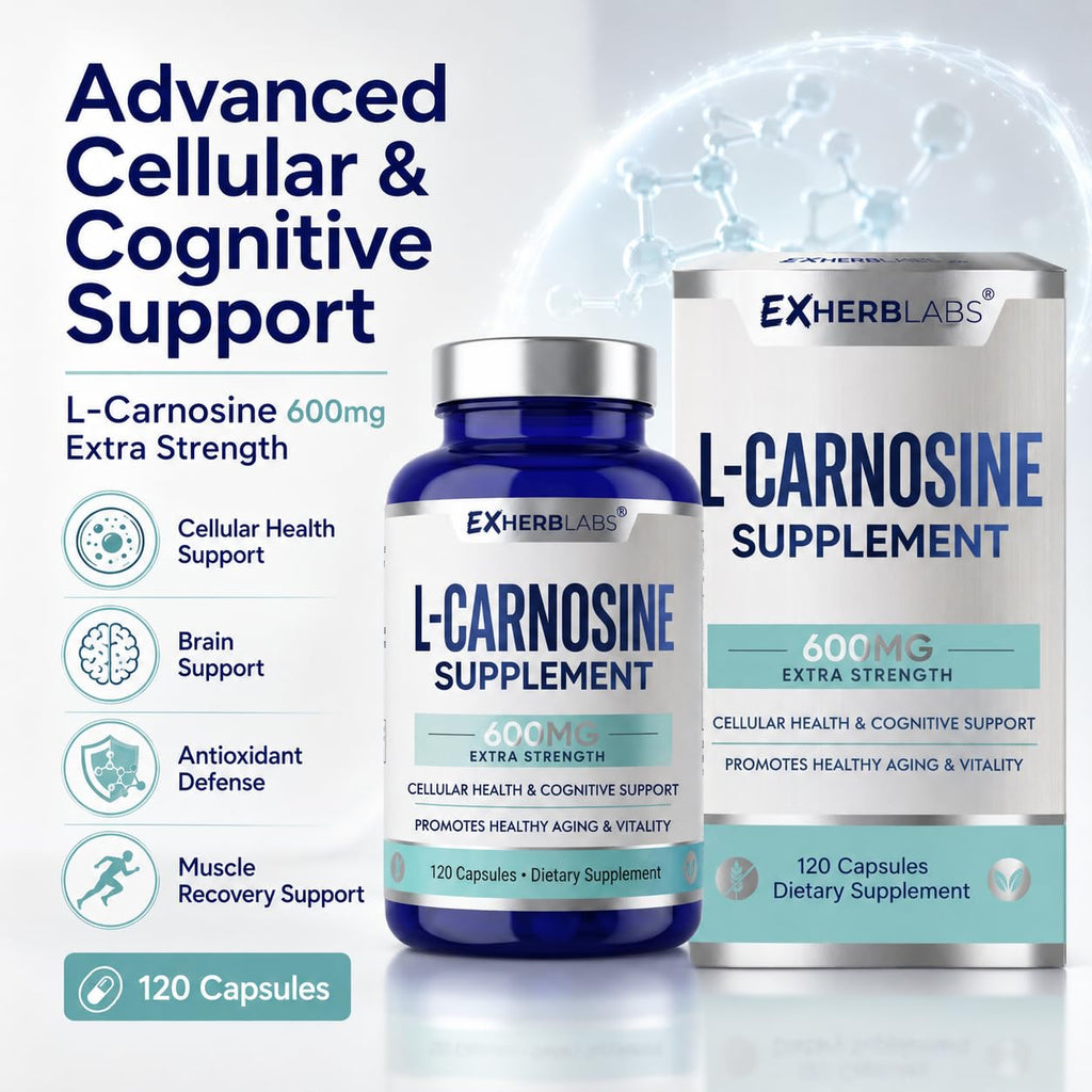 L-Carnosine 600mg Capsules, Premium Carnosine Supplement for Cellular Rejuvenation & Brain Support, Advanced L Carnosine Supplement for Antioxidant Defense & Muscle Recovery, 120 Capsules