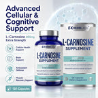 L-Carnosine 600mg Capsules, Premium Carnosine Supplement for Cellular Rejuvenation & Brain Support, Advanced L Carnosine Supplement for Antioxidant Defense & Muscle Recovery, 120 Capsules