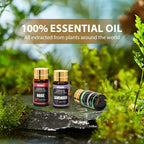 NESCCI Essential Oil Set - Essential Oils 36 x 5ML -Essential Oils Gift Set