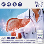 Nutrasal PhosChol PPC Polyenyl PhosphatidylCholine Choline Supplement 900mg 300 Gelatin Capsules