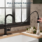 FORIOUS Vintage Kitchen Faucets with Pull Down Sprayer, Oil Rubbed Bronze