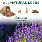 Lavender Seed Pod Kit, 8 Pod Kit (Include Seed Lavender/Chamomile/Holy Basil/Borage/Calendula/Mint) Fresh Tea Seed Pod Kit Compatible with Hydroponics