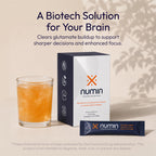 Numin Brain Supplements for Memory and Focus, Nootropic Focus Supplement, Clinical Trial-Backed Decision Fatigue Sachets with Rhodiola Rosea, L-Tyrosine, Curcumin, MSM & Chromium Picolinate, 20 Count