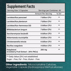 With Christensenella & Akkermansia, 8 Probiotic Strains - 50 Billion CFU