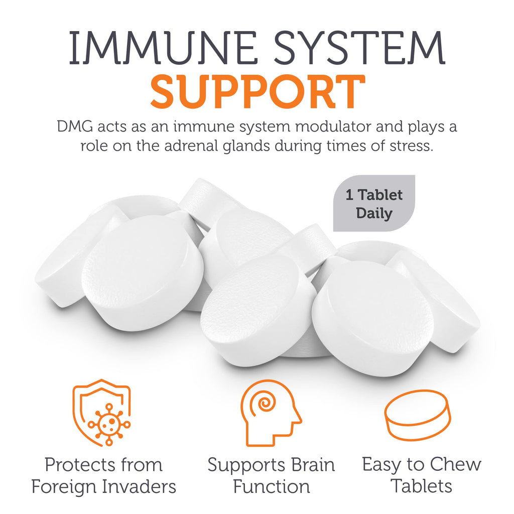 Zahler DMG 500mg - DMG Dimethylglycine Supplement for Endurance & Immune System Support - DMG Supplements with Amino Acid Glycine - Nootropic Brain Supplement - Kosher 1 a Day Tablets 90 Count