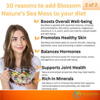 10-in-1 Irish Sea Moss Veggie Caps 3000mg Black Seed Oil Ashwagandha Bladderwrack Burdock Turmeric Apple Cider Vinegar Manuka Honey Dandelion Black Pepper - Made in US(Veggie Caps, Unflavored)