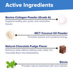 Superior Source Keto Collagen - Collagen Protein Powder with MCT Oil - Supports Hair, Skin, Nails & Joint Health - Dairy-Free - Chocolate, 14 oz